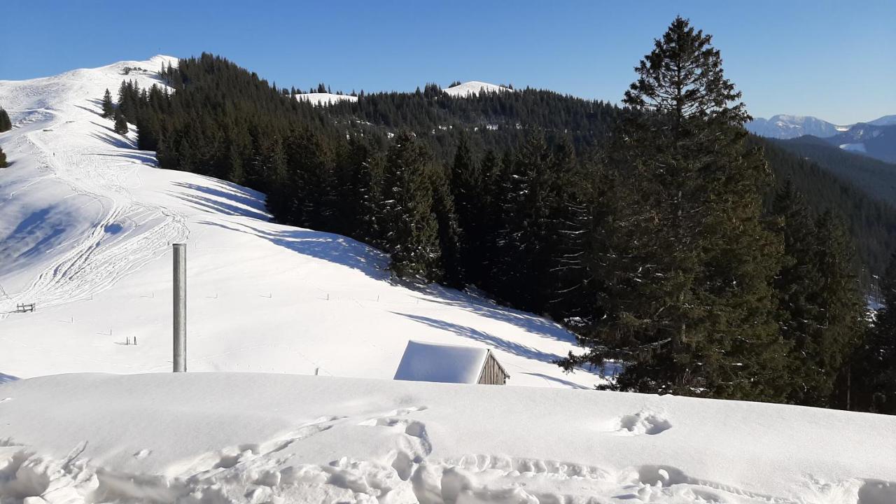 Kultur, Berge, Seen, Moor - Das Lebensglueck Murnau am Staffelsee Buitenkant foto