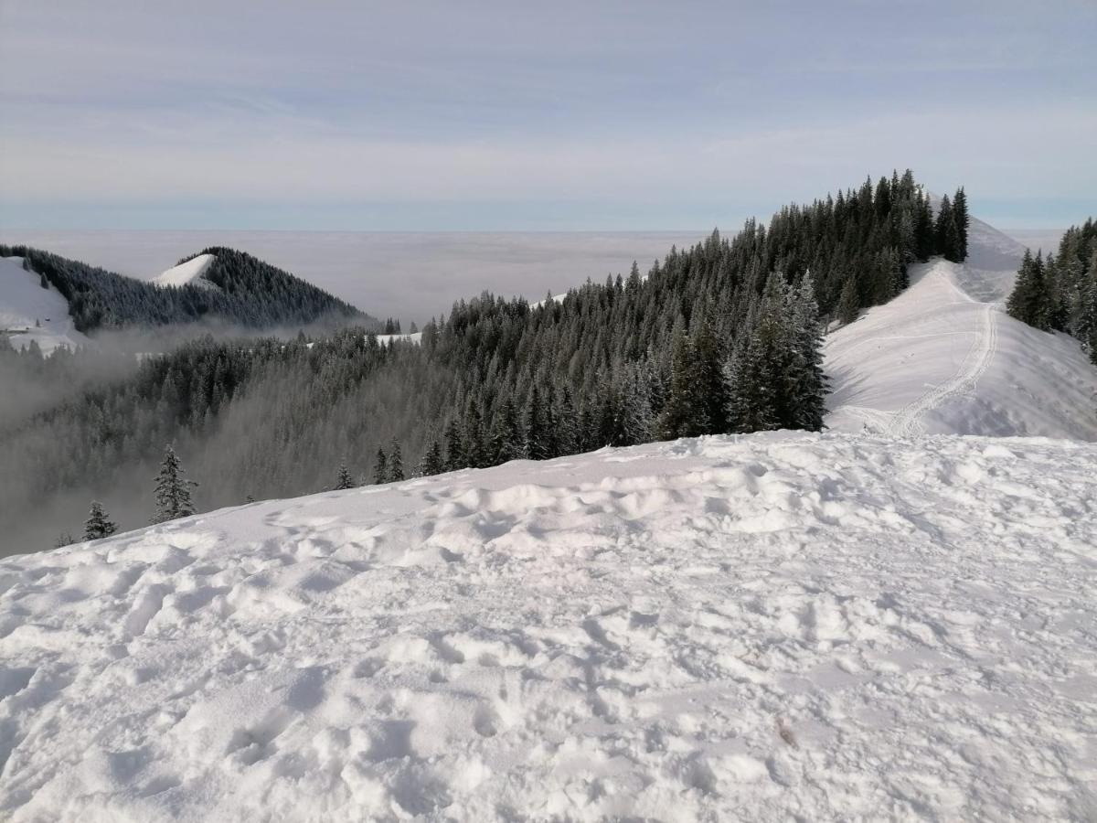 Kultur, Berge, Seen, Moor - Das Lebensglueck Murnau am Staffelsee Buitenkant foto